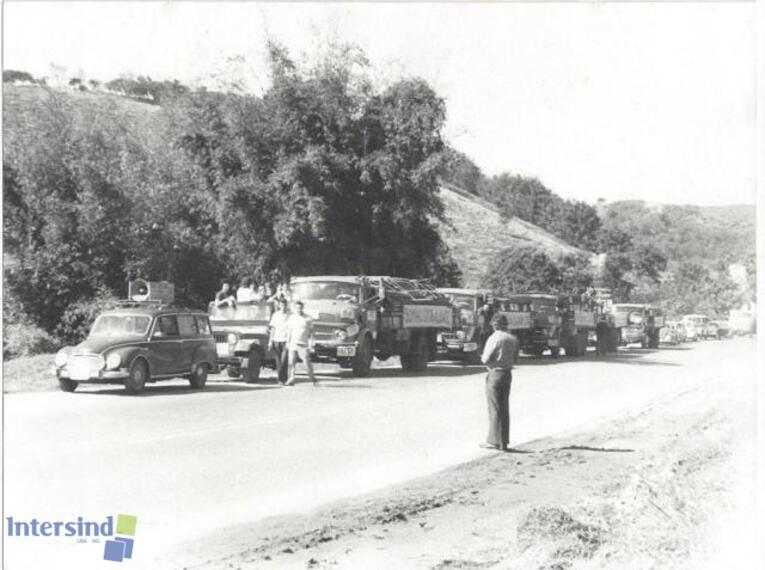 019 - Chegada da madeira (década de 1960)