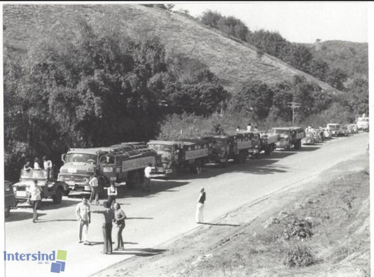 026 - Chegada da madeira (década de 1960)