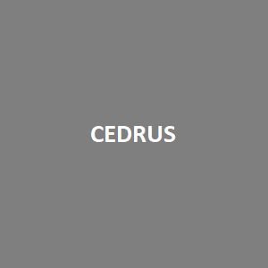 CEDRUS