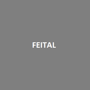 Feital