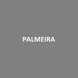 Palmeira