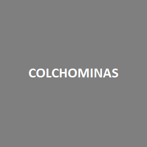 COLCHOMINAS